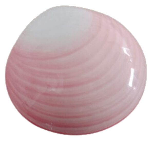 Conchas de lava de porcelana